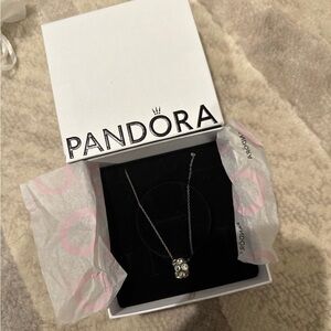 NWT Pandora Silver Necklace with Charm